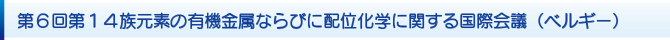 第6回第14族元素の有機金属ならびに配位化学に関する国際会議(ベルギー) 第6回第14族元素の有機金属ならびに配位化学に関する国際会議(ベルギー)