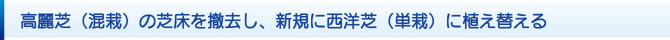 高麗芝(混栽)の芝床を撤去し、新規に西洋芝(単栽)に植え替える 高麗芝(混栽)の芝床を撤去し、新規に西洋芝(単栽)に植え替える