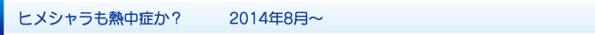 ヒメシャラも熱中症か? 2014年8月〜 ヒメシャラも熱中症か? 2014年8月〜