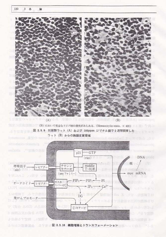 ƉuŐwIAv[`iƉuŐwj@||