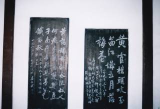 微量元素と食物連鎖に関する国際会議(中国) 微量元素と食物連鎖に関する国際会議(中国)