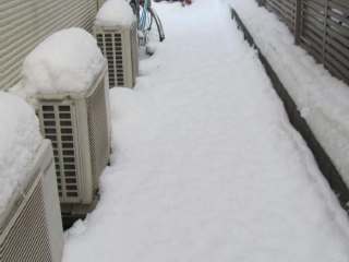 東京に45年ぶりの27センチを超える大雪