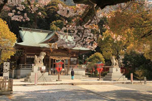 桜咲く頃の戸上神社