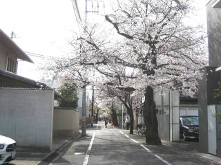 wӂ̖J