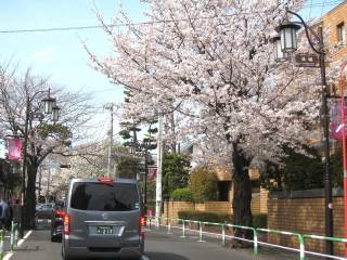wӂ̖J
