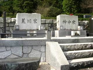 揊