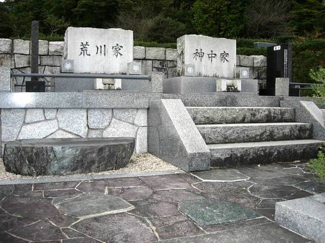 揊