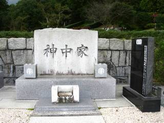 揊