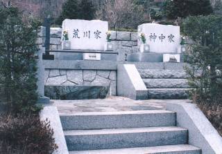 揊