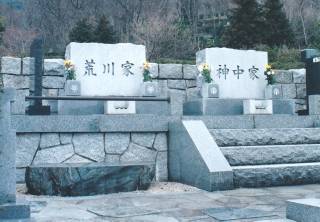 揊