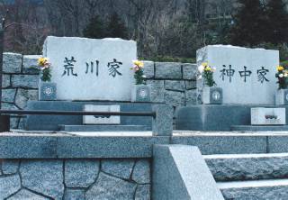揊