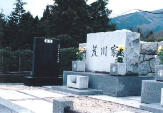 揊