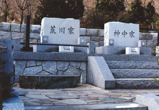 揊