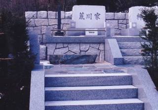 揊