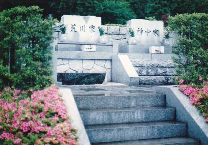 揊