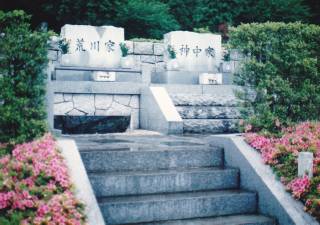 揊
