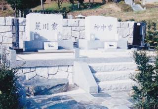 揊