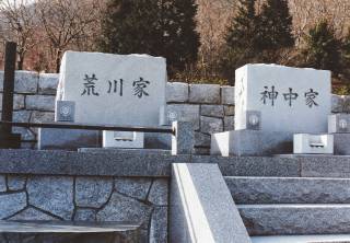 揊