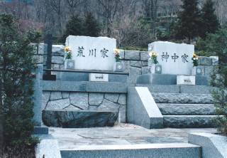 揊