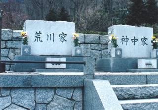 揊