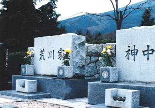 揊