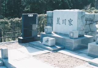 揊