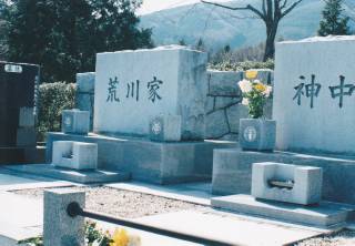 揊