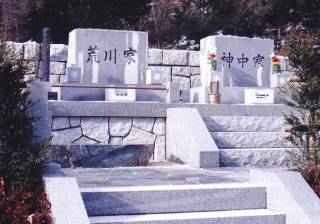 揊