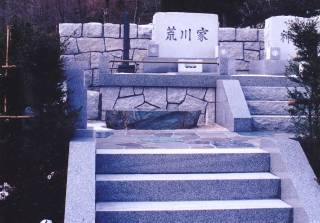 揊