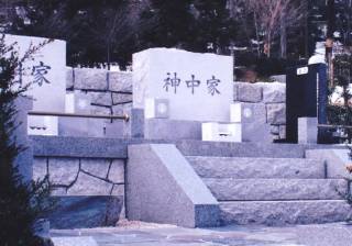 揊