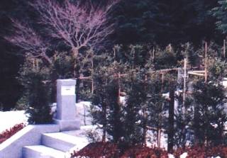 揊