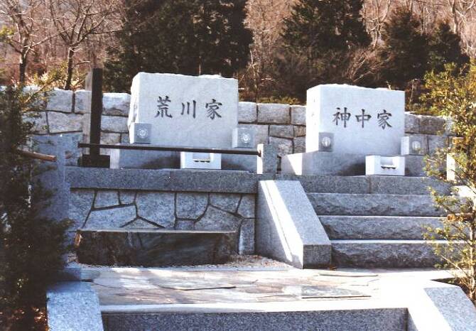 揊