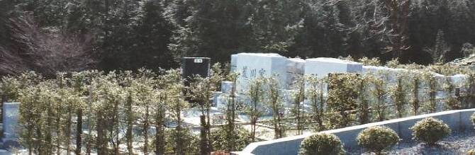 揊