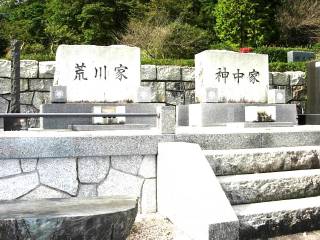 揊