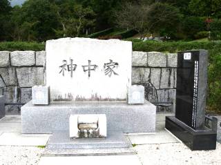 揊