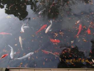 �����w�Z����@����N�󋵁@�����S���t