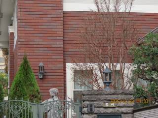 �N���P��̃A�v���[�`���ӂ̙���