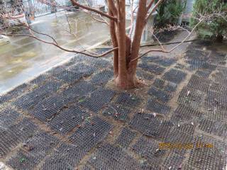 �N���P��̃A�v���[�`���ӂ̙���