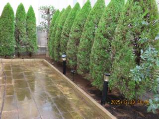 �N���P��̃A�v���[�`���ӂ̙���