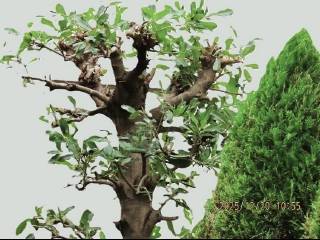 �N���P��̃A�v���[�`���ӂ̙���