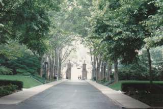 ���b�N�t�F���[��w�ɂču��