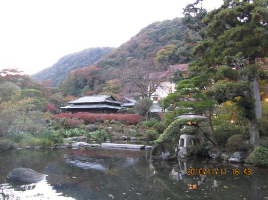 �����w�Z����@����N�󋵁@�����S���t