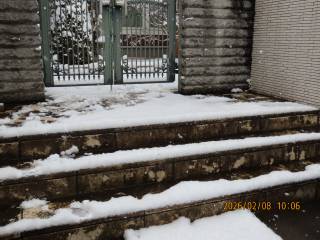 �Ⴊ�ԍ炭�q���V�����̖�