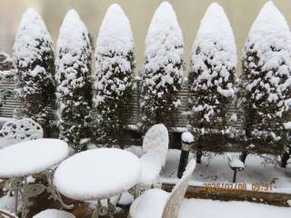 �Ⴊ�ԍ炭�q���V�����̖�