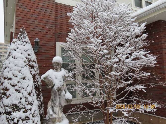 �Ⴊ�ԍ炭�q���V�����̖�