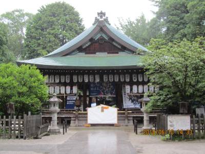 白峯神宮拝殿 左近の桜 右近の橘 白峯神宮拝殿 左近の桜 右近の橘