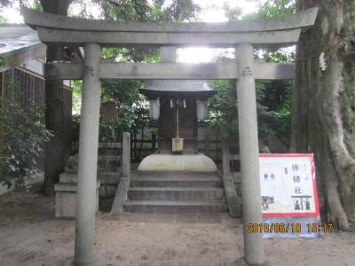 伴緒社 為義為朝を祀る 白峯神宮 伴緒社 為義為朝を祀る 白峯神宮