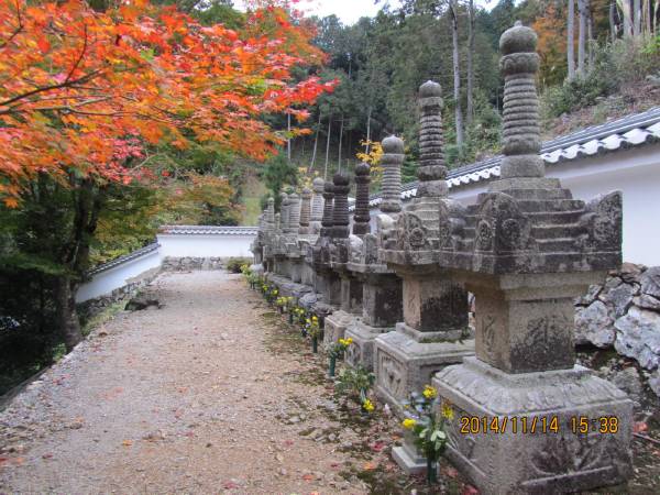清龍寺墓所 右手前初代・氏信より列置 清龍寺墓所 右手前初代・氏信より列置