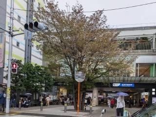 ���邳����Ղ�@2026