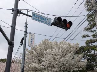 ���邳����Ղ�@2026